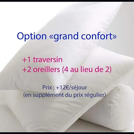 Charme Et Confort Aux Cordeliers Lyon