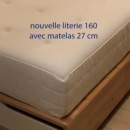 Charme Et Confort Aux Cordeliers Apartment